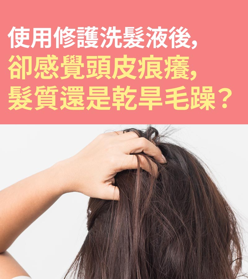 使用修護洗髮液後, 卻感覺頭皮痕癢, 髮質還是乾旱毛躁?