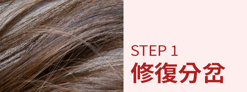 STEP 1 修復分岔