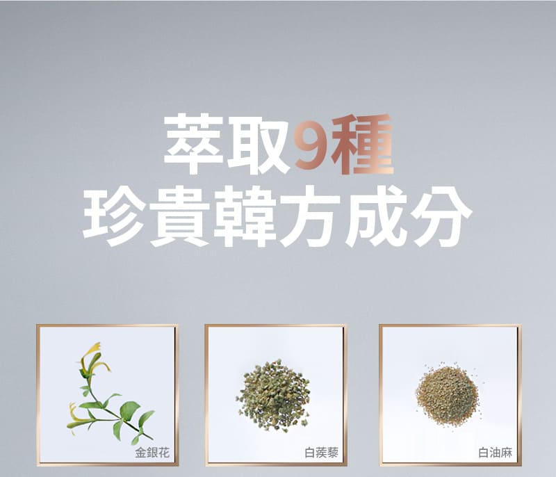 萃取9種 珍貴韓方成分 金銀花 白装黎