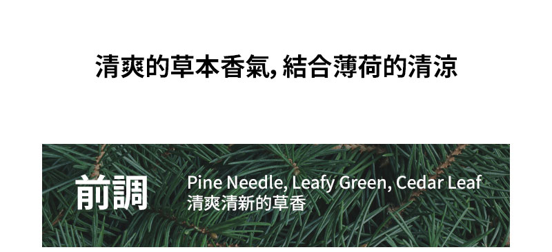 清爽的草本香氣，結合薄荷的清涼 前調 Pine Needle, Leafy Green, Cedar Leaf 清爽清新的草香