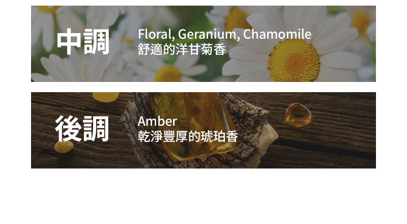 中調 Floral, Geranium, Chamomile 舒適的洋甘菊香 後調 Amber 乾淨豐厚的琥珀香
