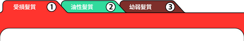 1. 受損髮質 2.油性髮質 3.幼弱髮質