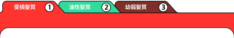 1. 受損髮質 2.油性髮質 3.幼弱髮質