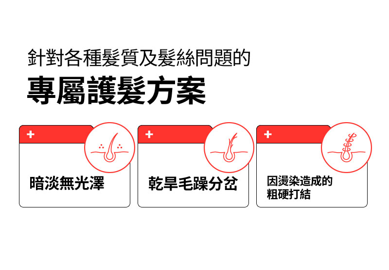 針對各種髮質及髮絲問題的 專屬護髮方案