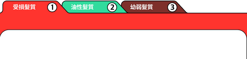 1. 受損髮質 2.油性髮質 3.幼弱髮質