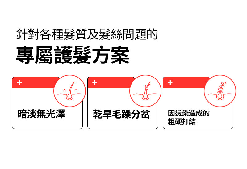 針對各種髮質及髮絲問題的 專屬護髮方案