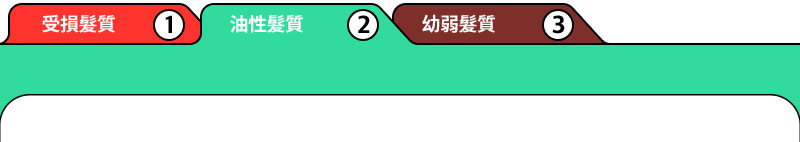 1. 受損髮質 2.油性髮質 3.幼弱髮質