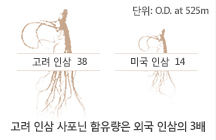 단위:O.D. at 525m 고려 인삼 38, 미국인삼 14, 고려 인삼 사포닌 함유량은 외국 인삼의 3배