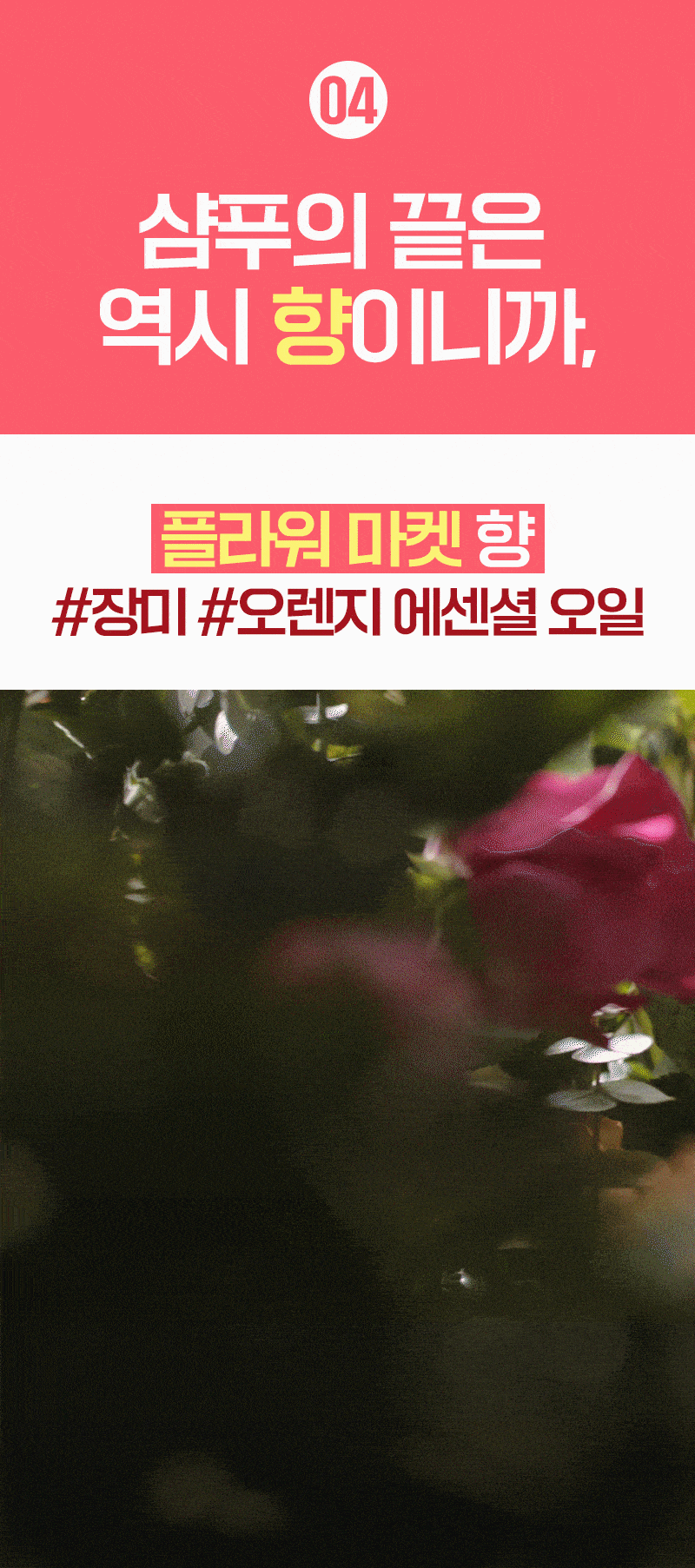 제품상세 내용 아래 참조
