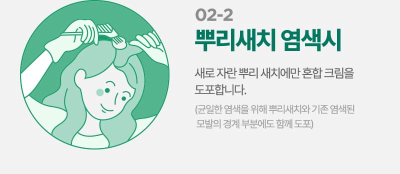 02-2 뿌리새치 염색시 새로 자란 뿌리 새치에만 혼합 크림을 도포합니다. (균일한 염색을 위해 뿌리새치와 기존 염색된 모발의 경계 부분에도 함께 도포)