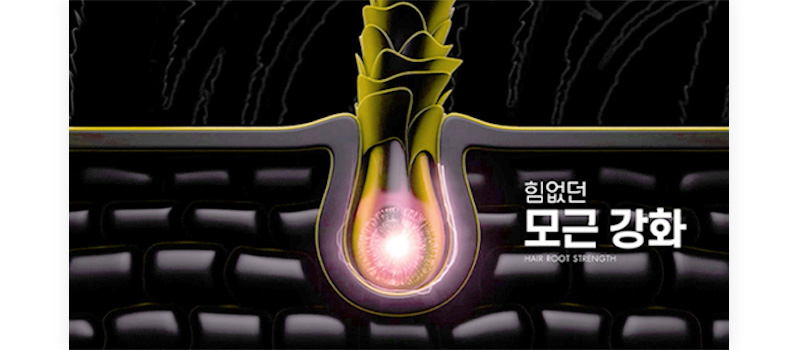 힘없던 모근 강화 HAIR ROOT STRENGTH