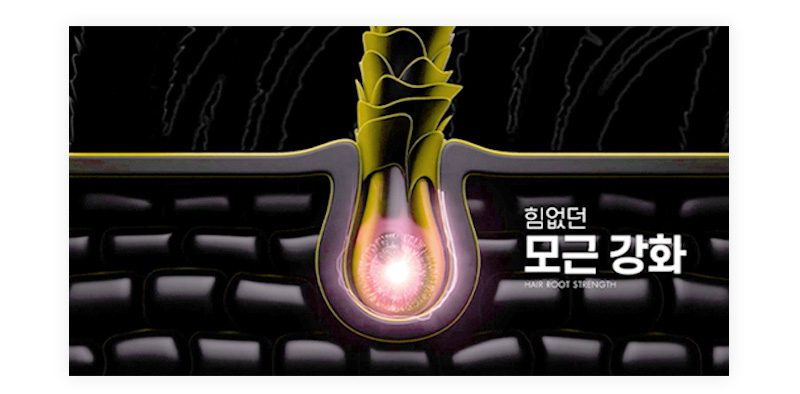 힘없던 모근 강화 HAIR ROOT STRENGTH