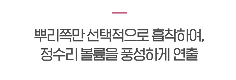뿌리쪽만 선택적으로 흡착하여, 정수리 볼륨을 풍성하게 연출