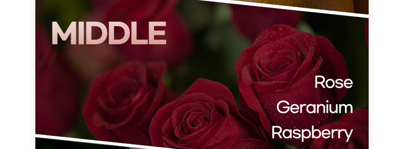 MIDDLE : Rose, Geranium, Raspberry