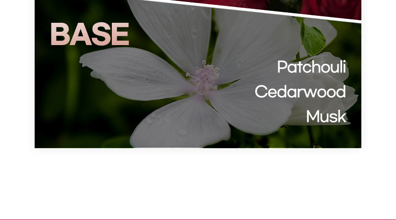 BASE : Patchouli, Cedarwood, Musk
