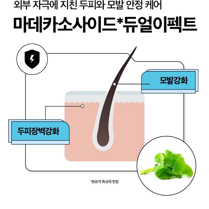 외부 자극에 지친 두피와 모발 안정 케어 마데카소사이드* 듀얼 이펙트 / 모발강화, 두피장벽강화 / *원료적 특성에 한함