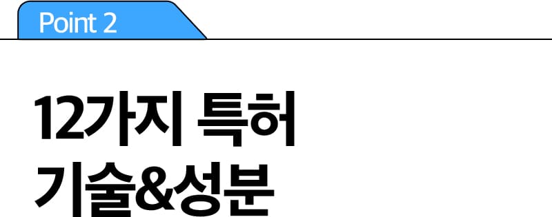 Point 2 12가지 특허 기술&성분