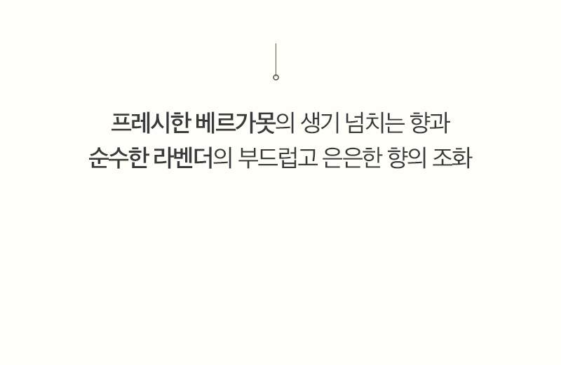 프레시한 베르가못의 생기 넘치는 향과 순수한 라벤더의 부드럽고 은은한 향의 조화