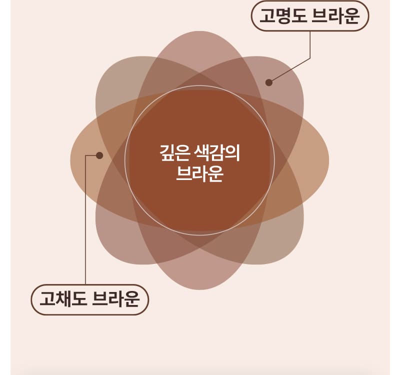 고명도 브라운 / 고채도 브라운 / 깊은 색감의 브라운