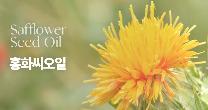 Camelia Seed oil 동백씨오일