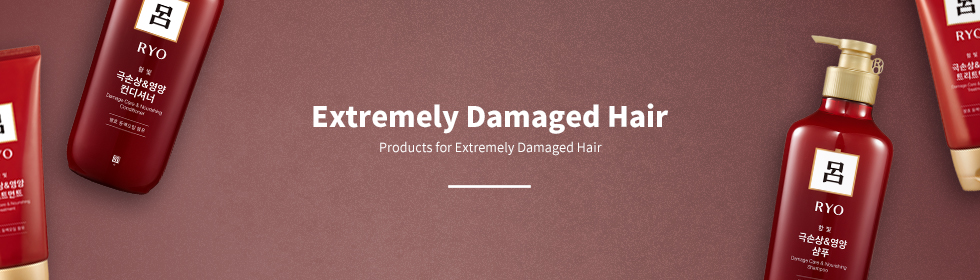 List of Ryo’s extremely damaged hair care products