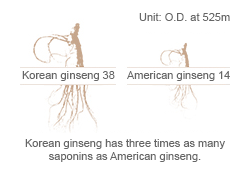 Unit: O.D. at 525 m, Korean ginseng: 38 vs. American ginseng: 14, Korean ginseng has three times as much saponins as American ginseng