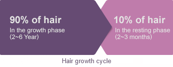 90% of hairs in the anagen phase (lasting two to six years) and the rest 10% in the telogen phase (lasting around three months)