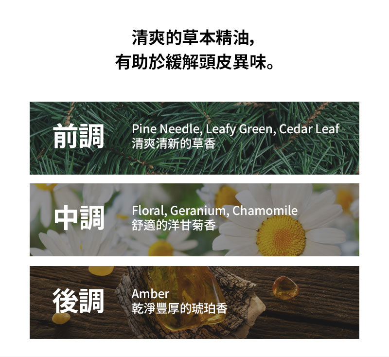 清爽的草本精油，有助於緩解頭皮異味。前調 Pine Needle, Leafy Green, Cedar Leaf 清爽清新的草香 / 中調 Floral, Geranium, Chamomile 舒適的洋甘菊香 / 後調 Amber 乾淨豐厚的琥珀香